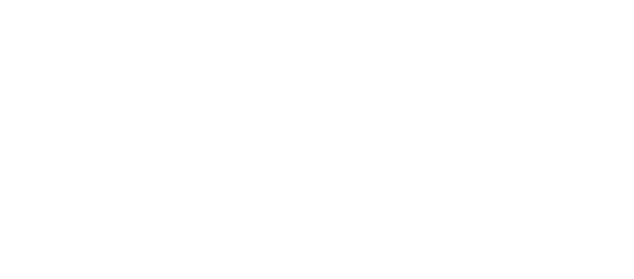 The Sternwheelers - Nashville, Tennessee based Irish-Americana music